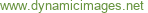 DynamicImages Interactive